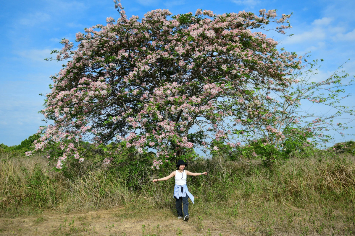 Du khach hoa mat, chay da van hao hung di du lich he-Hinh-4