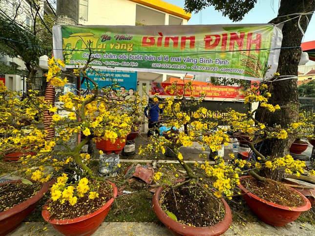 Nguoi Ha Noi nuom nuop di sam Tet-Hinh-5