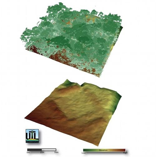 Thực hư thành phố ngập trong vàng của Thần Khỉ - Hình 3 Thuc hu thanh pho ngap trong vang cua Than Khi-Hinh-3