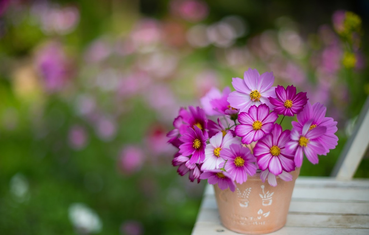 3 con giap troi xanh uu ai, kiem bon tien trong nam 2024-Hinh-3