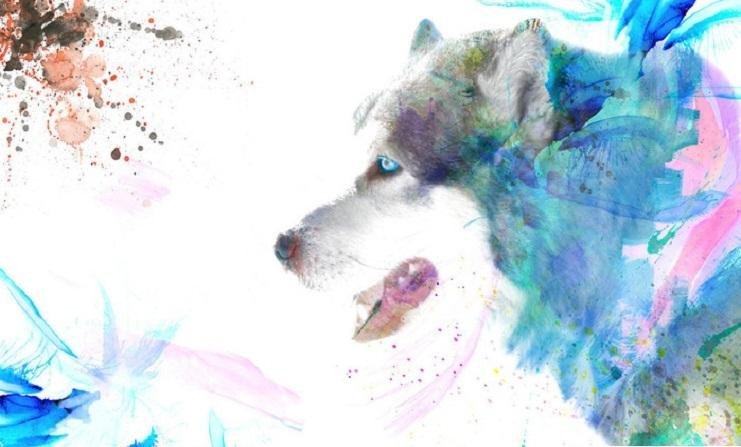  Những ngày cuối tháng 6 sẽ mở ra những cánh cửa mới cho bạn, và những thay đổi của môi trường sẽ mang đến những cơ hội chưa từng có. 