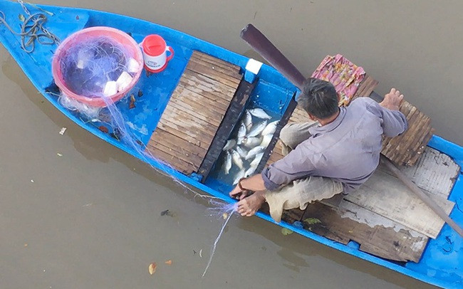Giá khô mực, giá tôm khô hiện ở Kiên Giang tăng từ 20-100.000 đồng/kg - Hình 3 Gia kho muc, gia tom kho hien o Kien Giang tang tu 20-100.000 dong/kg-Hinh-3