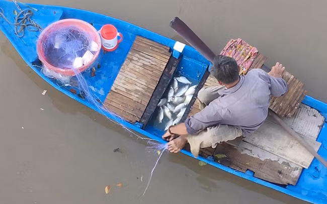 Gia kho muc, gia tom kho hien o Kien Giang tang tu 20-100.000 dong/kg-Hinh-3
