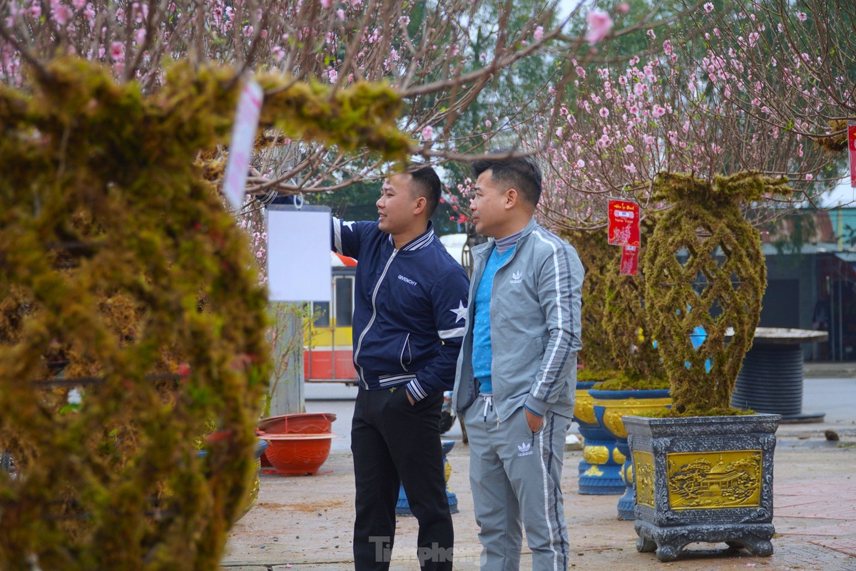 Anh Việt cho biết, năm nay anh không nhập số lượng lớn về, mà chỉ bán sản phẩm “độc lạ” để phục vụ nhu cầu người dùng trong dịp Tết.