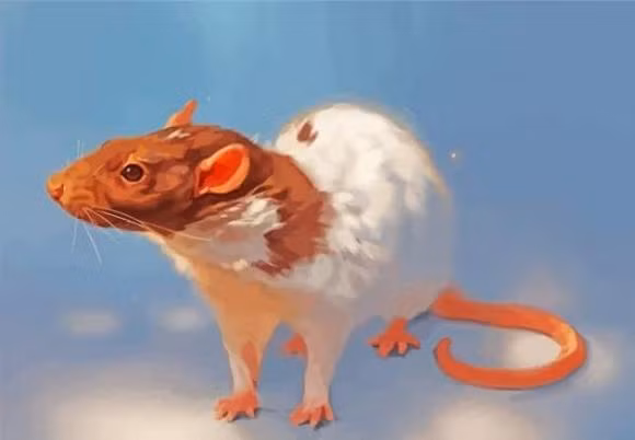 Tuổi Tý: Theo các chuyên gia phong thủy, năm Giáp Thìn 2024, tuổi Tý nằm trong số những con giáp giàu có bậc nhất khiến người khác phải ngưỡng mộ. 