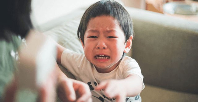 Con dat diem thap mon the duc, bo lam mot viec khien hoi han-Hinh-2