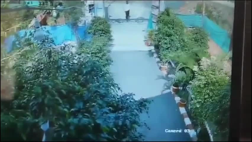 Video: Người đàn ông may mắn thoát khỏi cú cắn của rắn hổ mang Video: Nguoi dan ong may man thoat khoi cu can cua ran ho mang