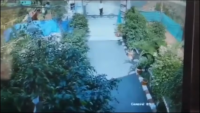 Video: Nguoi dan ong may man thoat khoi cu can cua ran ho mang