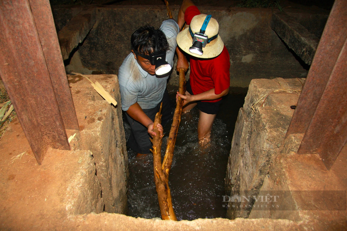 Nang han keo dai, nong dan Ninh Thuan xuyen dem dan nuoc cuu mia-Hinh-2