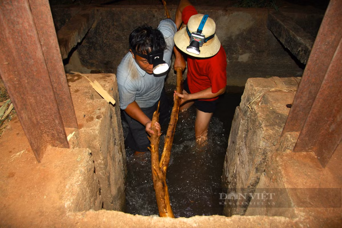 Nang han keo dai, nong dan Ninh Thuan xuyen dem dan nuoc cuu mia-Hinh-2