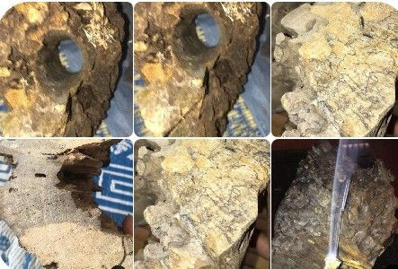 Loại gỗ siêu hiếm, triệu cây mới có một ở Việt Nam - Hình 4 Loai go sieu hiem, trieu cay moi co mot o Viet Nam-Hinh-4