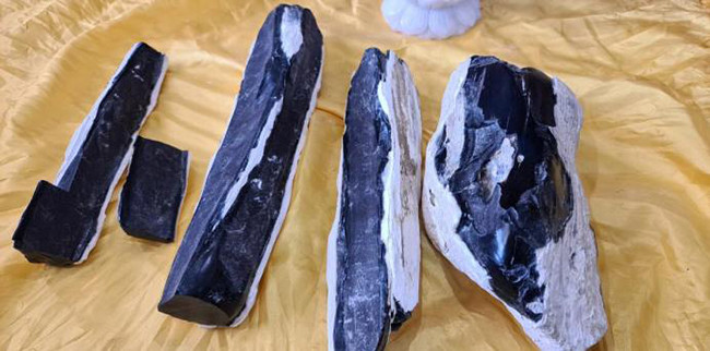 Loại gỗ siêu hiếm, triệu cây mới có một ở Việt Nam - Hình 3 Loai go sieu hiem, trieu cay moi co mot o Viet Nam-Hinh-3