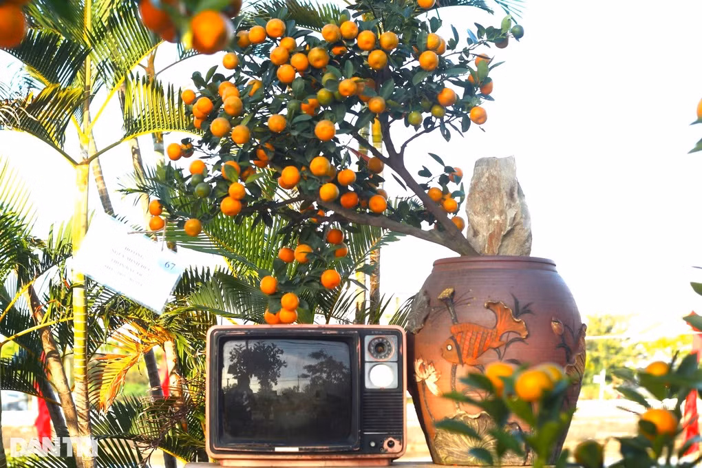 Lang quat canh Cam Ha duoc cong nhan lang nghe truyen thong-Hinh-3