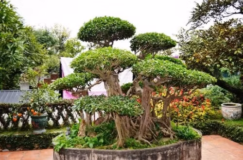 Sững sờ trước 'biệt phủ' triệu đô giữa lòng Hà Nội - Ảnh 11