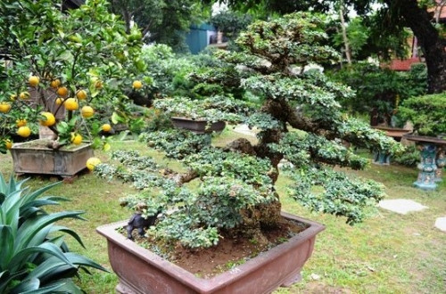 Sững sờ trước 'biệt phủ' triệu đô giữa lòng Hà Nội - Ảnh 13