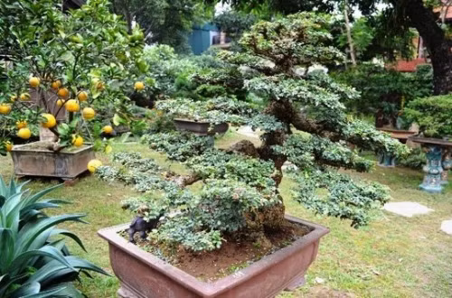 Sững sờ trước 'biệt phủ' triệu đô giữa lòng Hà Nội - Ảnh 13