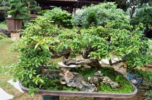 Sững sờ trước 'biệt phủ' triệu đô giữa lòng Hà Nội - Ảnh 14