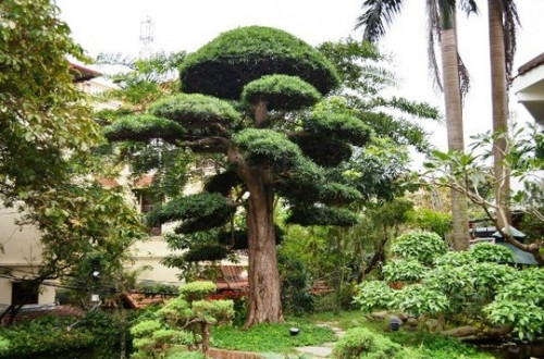 Sững sờ trước 'biệt phủ' triệu đô giữa lòng Hà Nội - Ảnh 6