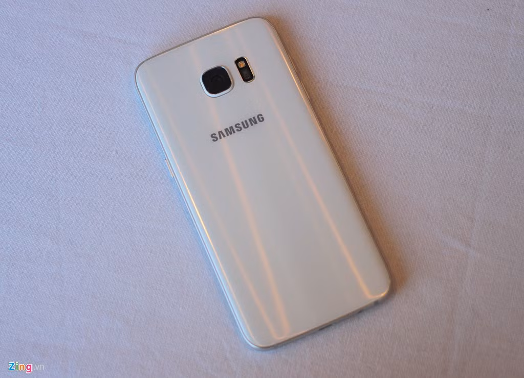 Mặt lưng cong nhẹ phía sau.