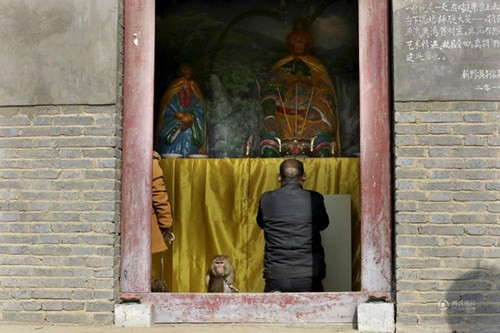 Dân làng đã xây nhà thờ tổ ngành xiếc khỉ và thờ tượng Tôn Ngộ Không.