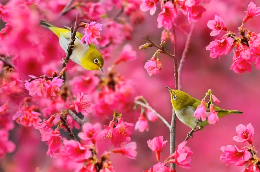 Tre sinh vao 4 khung gio nay co menh rong phuong, tien do xan lan