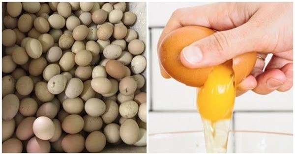 3 cách bảo quản trứng không cần dùng tủ lạnh, để 3 - 4 tháng vẫn tươi 3 cach bao quan trung khong can dung tu lanh, de 3 - 4 thang van tuoi