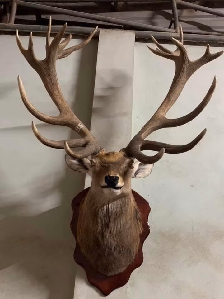 5 lỗi phong thủy nhà ở khiến vợ chồng lục đục, tài lộc sa sút ảnh 3