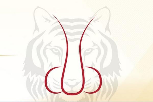 4 tuong mui may man het phan nguoi khac, Than Tai theo got ca doi-Hinh-2