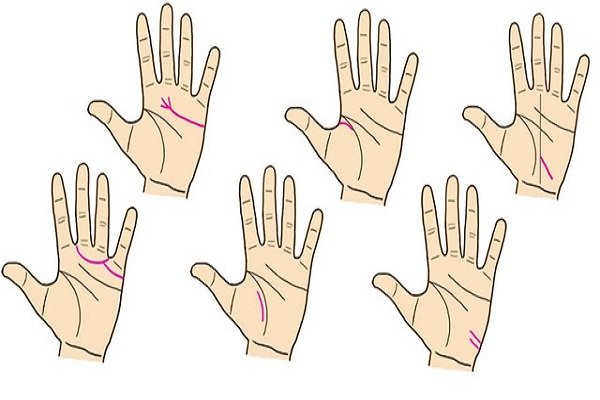 Theo phong thủy, phần lớn những người sở hữu đường chỉ tay này sẽ gặp được nhiều may mắn và thăng hoa trong sự nghiệp. Bạn chỉ cần chịu khó làm ăn và luôn đặt chữ tín làm trọng.