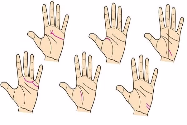 Theo phong thủy, phần lớn những người sở hữu đường chỉ tay này sẽ gặp được nhiều may mắn và thăng hoa trong sự nghiệp. Bạn chỉ cần chịu khó làm ăn và luôn đặt chữ tín làm trọng.