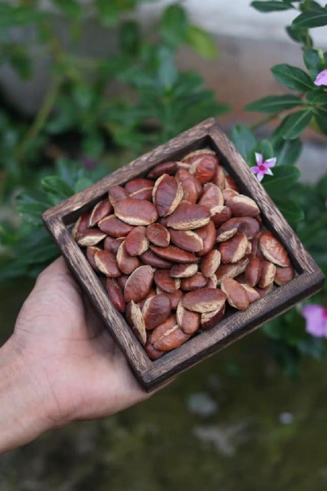 Hat ko nia rang hua hen tro thanh mon doc dai khach dip Tet 2022-Hinh-2