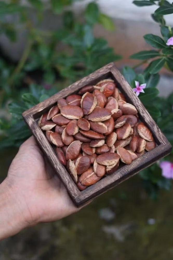 Hat ko nia rang hua hen tro thanh mon doc dai khach dip Tet 2022-Hinh-2