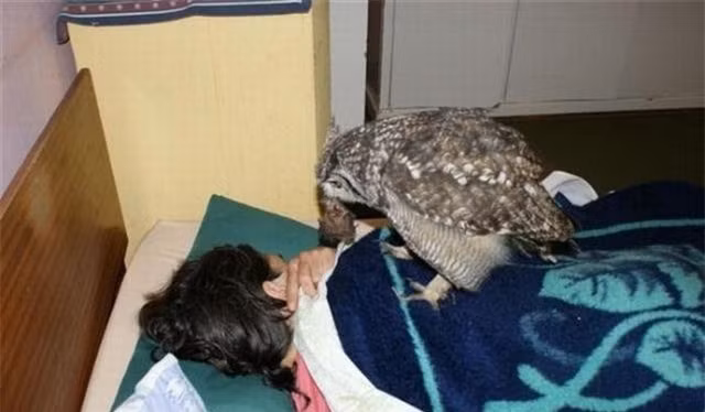 Cuu mang con cu, nguoi dan ong duoc “qua cap” suot vai nam sau-Hinh-5