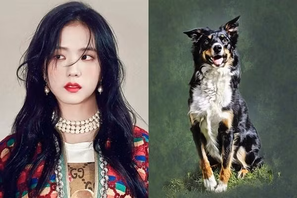 Người tuổi Tuất trời sinh vốn thông minh, tài giỏi lại gặp thời, gặp thế nên có khả năng tạo dựng sự nghiệp vững chắc, kiếm được nhiều tiền, cuộc sống khấm khá hơn.