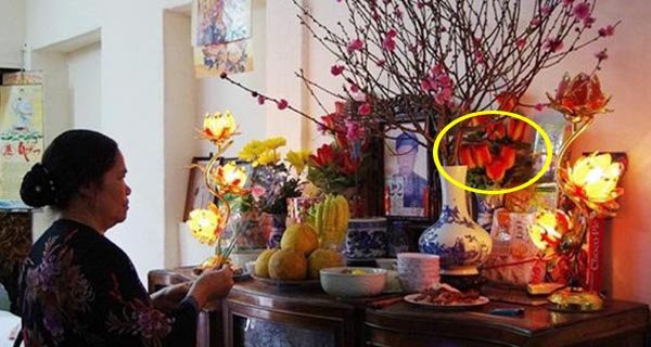 Hoa cúng trên bàn thờ nên cắm mấy bông để tụ tài, đón lộc Hoa cung tren ban tho nen cam may bong de tu tai, don loc