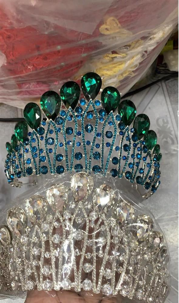 Vuong mien Miss Eco Vietnam 2022 bi nghi hang cho gia 600 nghin-Hinh-3