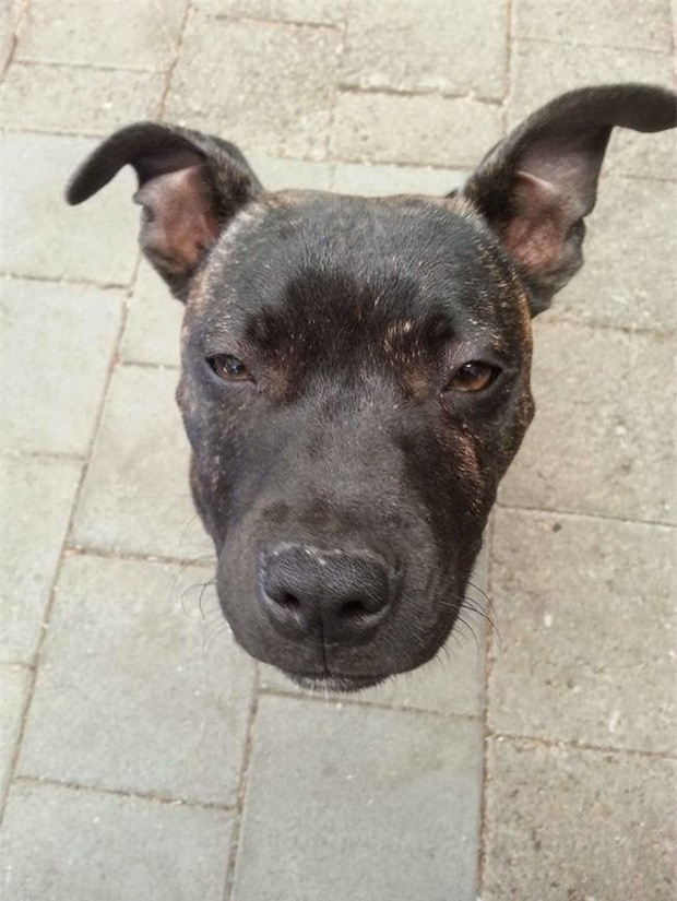 Những bức ảnh không Photoshop chút nào nhưng trông vẫn ảo thôi rồi ảnh 2