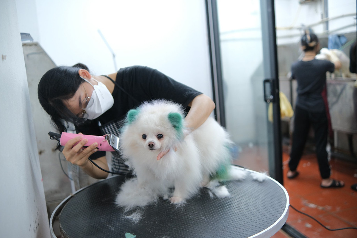 Chi bon tien cho thu cung di spa truoc Tet-Hinh-2