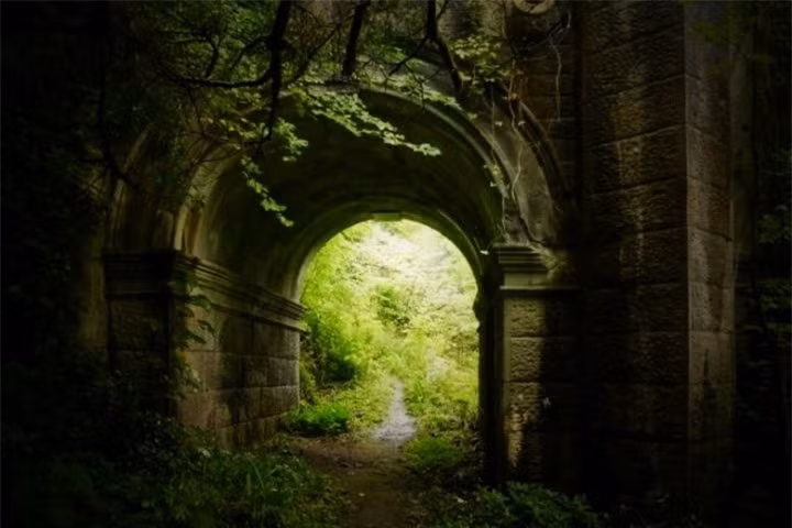 Giải mã cây cầu bí ẩn khiến cho loài chó cứ đi qua là muốn tự tử ảnh 5