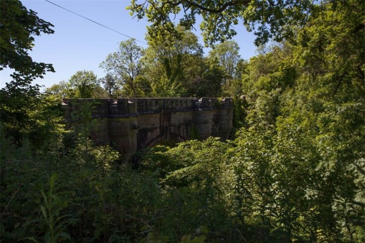 Giải mã cây cầu bí ẩn khiến cho loài chó cứ đi qua là muốn tự tử ảnh 6 Giải mã cây cầu bí ẩn khiến cho loài chó cứ đi qua là muốn tự tử ảnh 6