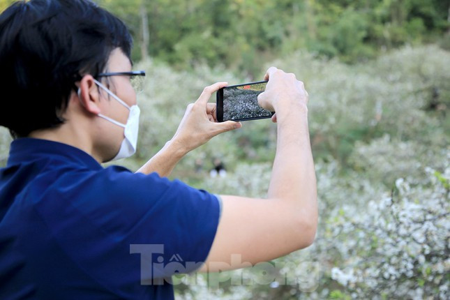 Đứng trên cao phóng tầm mắt xuống càng cảm nhận được nét đẹp tinh khôi của nơi này, với từng cánh mận trắng muốt, lung linh, xoay góc nào chụp cũng đẹp hút mắt.