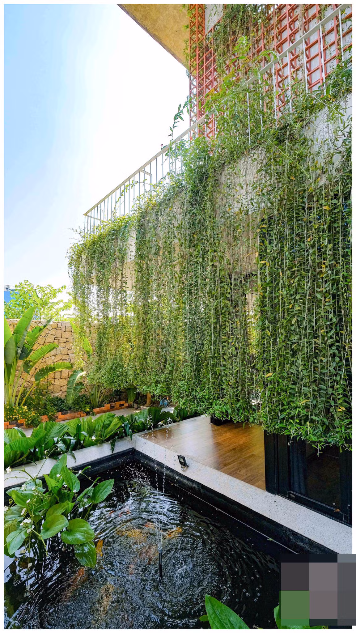 Ngoi nha nhiet doi bon be xanh mat nho he thong day leo phu kin-Hinh-3