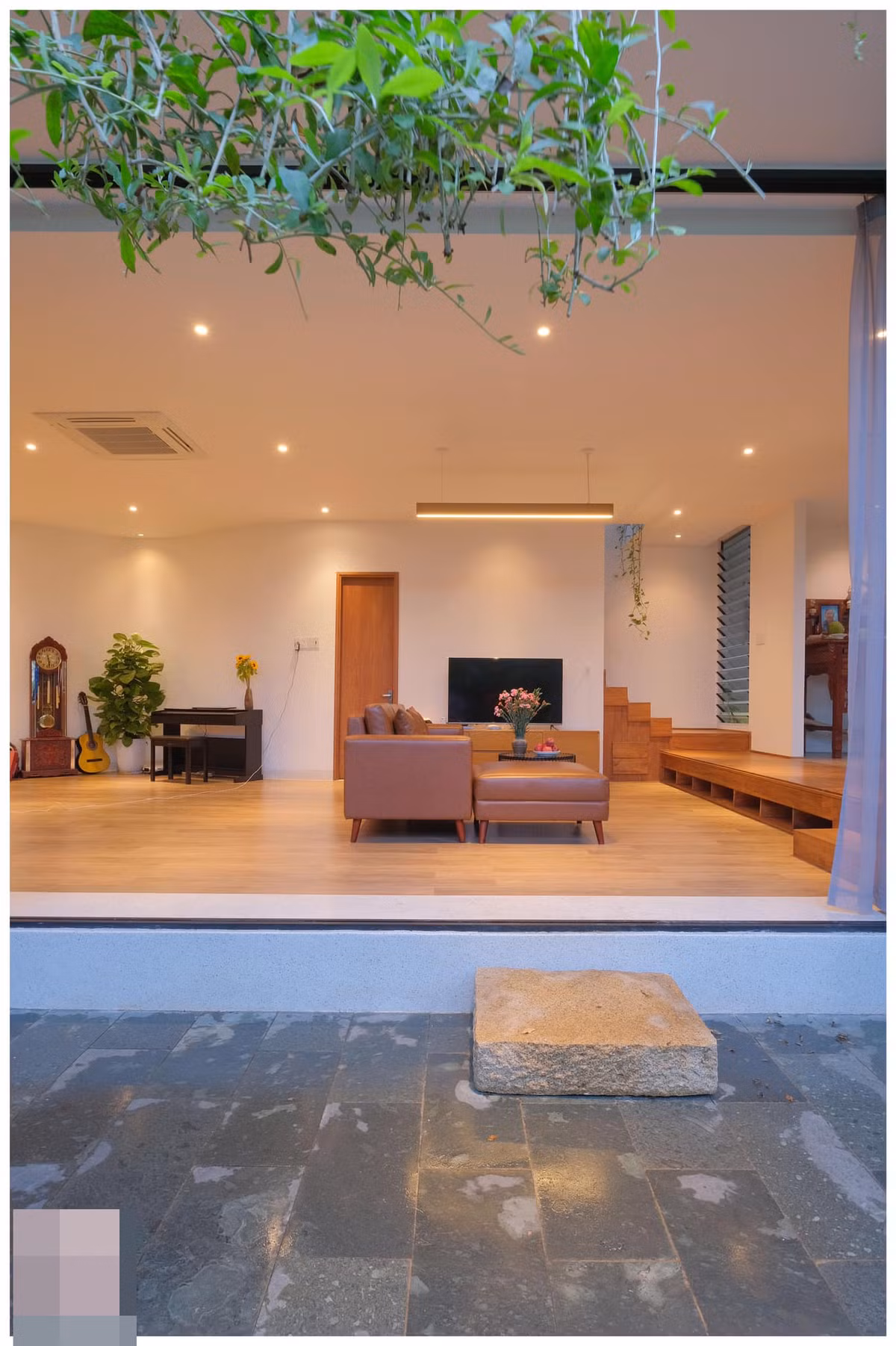 Ngôi nhà nhiệt đới bốn bề xanh mát nhờ hệ thống dây leo phủ kín