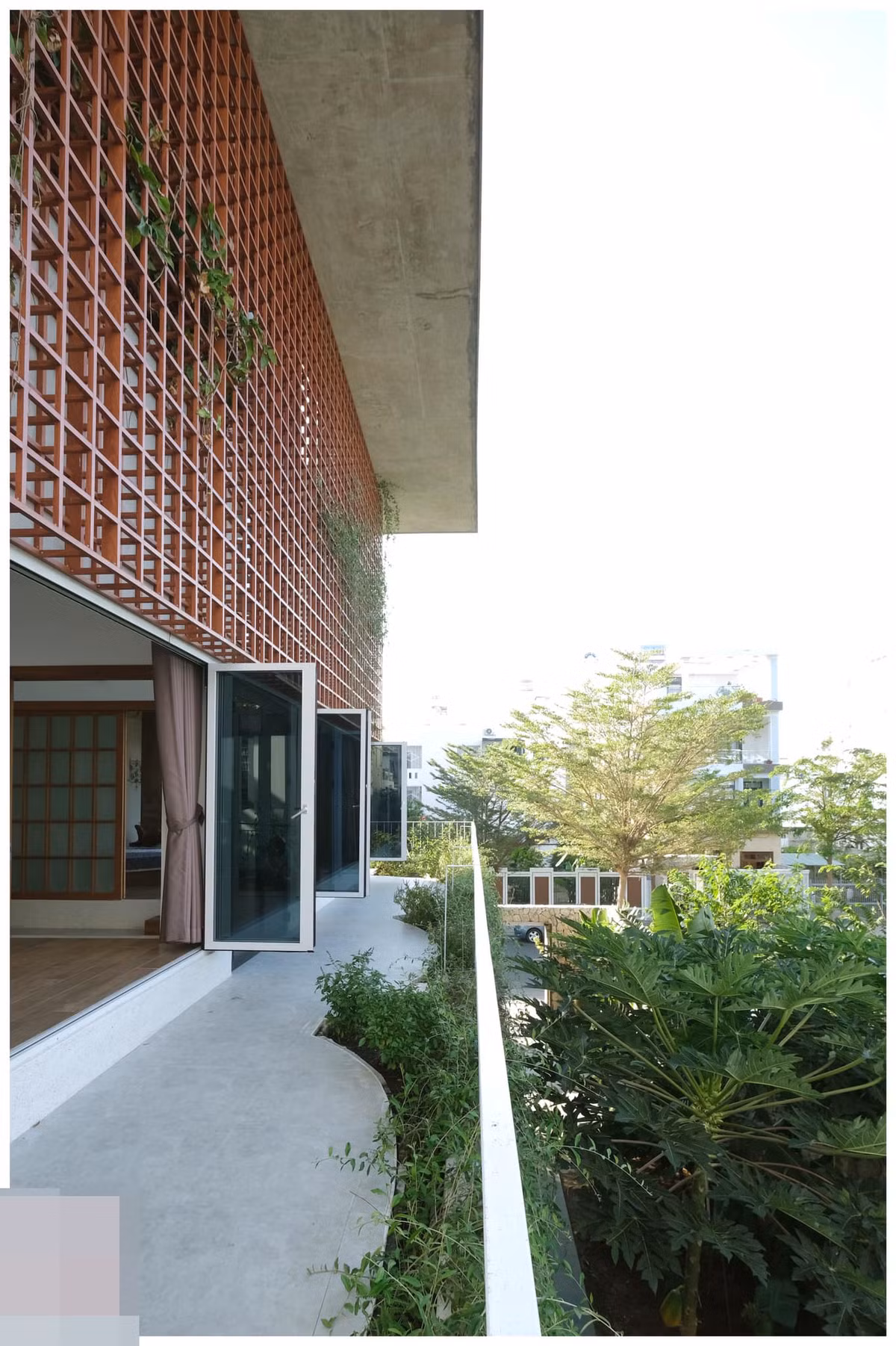 Ngôi nhà nhiệt đới bốn bề xanh mát nhờ hệ thống dây leo phủ kín