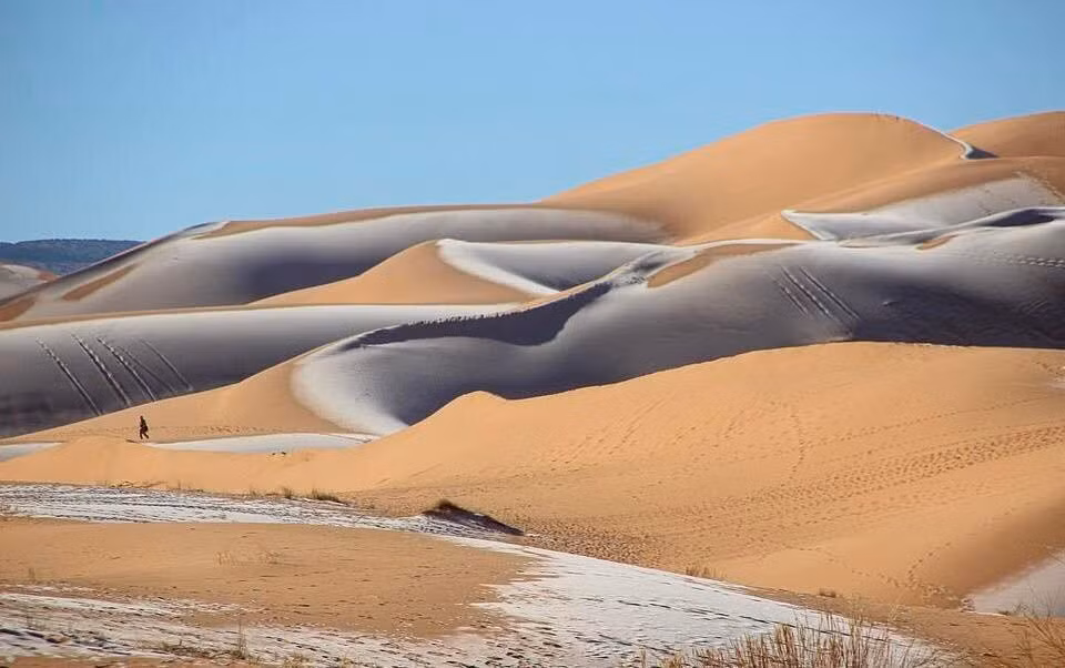 Dù hiện nay sa mạc Sahara rất khô cằn với nhiệt độ lên tới 58 độ C, giới nghiên cứu dự đoán sa mạc có thể xanh tươi trở lại sau 15.000 năm. Ảnh: Karim Bouchetata