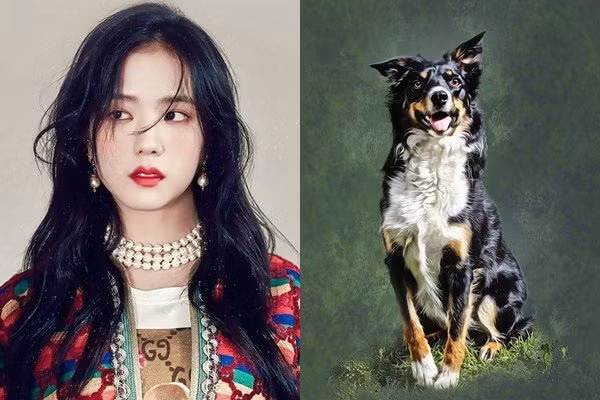 Trong 60 ngày tới những người tuổi Tuất sẽ có quý nhân chỉ đường dẫn lối nên kiếm được nhiều hợp đồng làm ăn, thu về nhiều tài lộc.