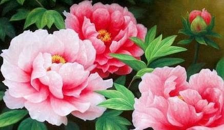 Tháng ba âm lịch. Phụ nữ sinh vào tháng 3 âm lịch rất đam mê kiếm tiền. Họ luôn có thể truyền cảm hứng cho bản thân. Sự tế nhị và hào phóng của họ rất được lòng những người giàu có. Nhiều trường hợp chỉ mong tự lập, làm ăn phát đạt mà không cần dựa dẫm vào đàn ông, họ có thể mang về cho chồng vận mệnh tiền bạc.