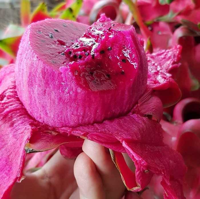 Hàng loạt loại trái cây ngập chợ, giảm gần nửa giá ảnh 1 Hàng loạt loại trái cây ngập chợ, giảm gần nửa giá ảnh 1