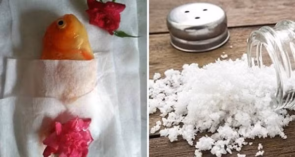 Trong nha xuat hien 3 dau hieu nen can than keo vo chong ly tan