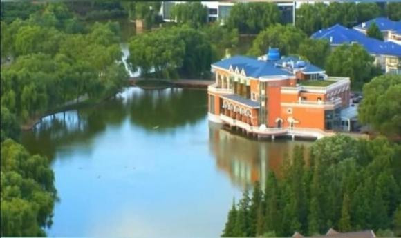 Truong Thiet Lam gay tranh cai vi livestream ban chu thu phap gia tram trieu-Hinh-4